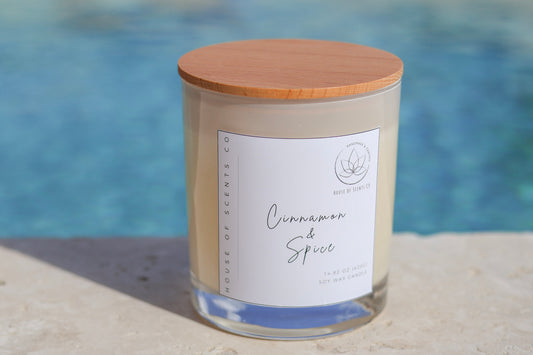 420G TRIPLE SCENTED CINNAMON & SPICE